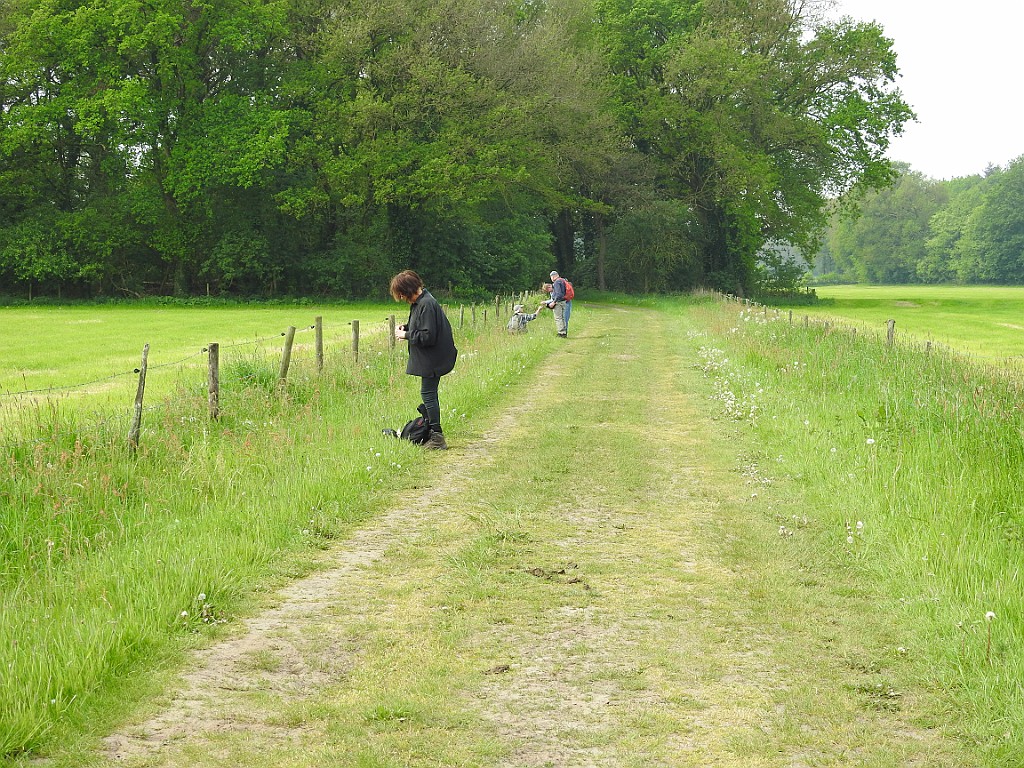 KNNV excursie Arrien [00911] 13-mei-2018 (Vechtdal, Arrien).jpg - KNNV excursie Arrien